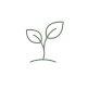 Daily Foundation Focus icon